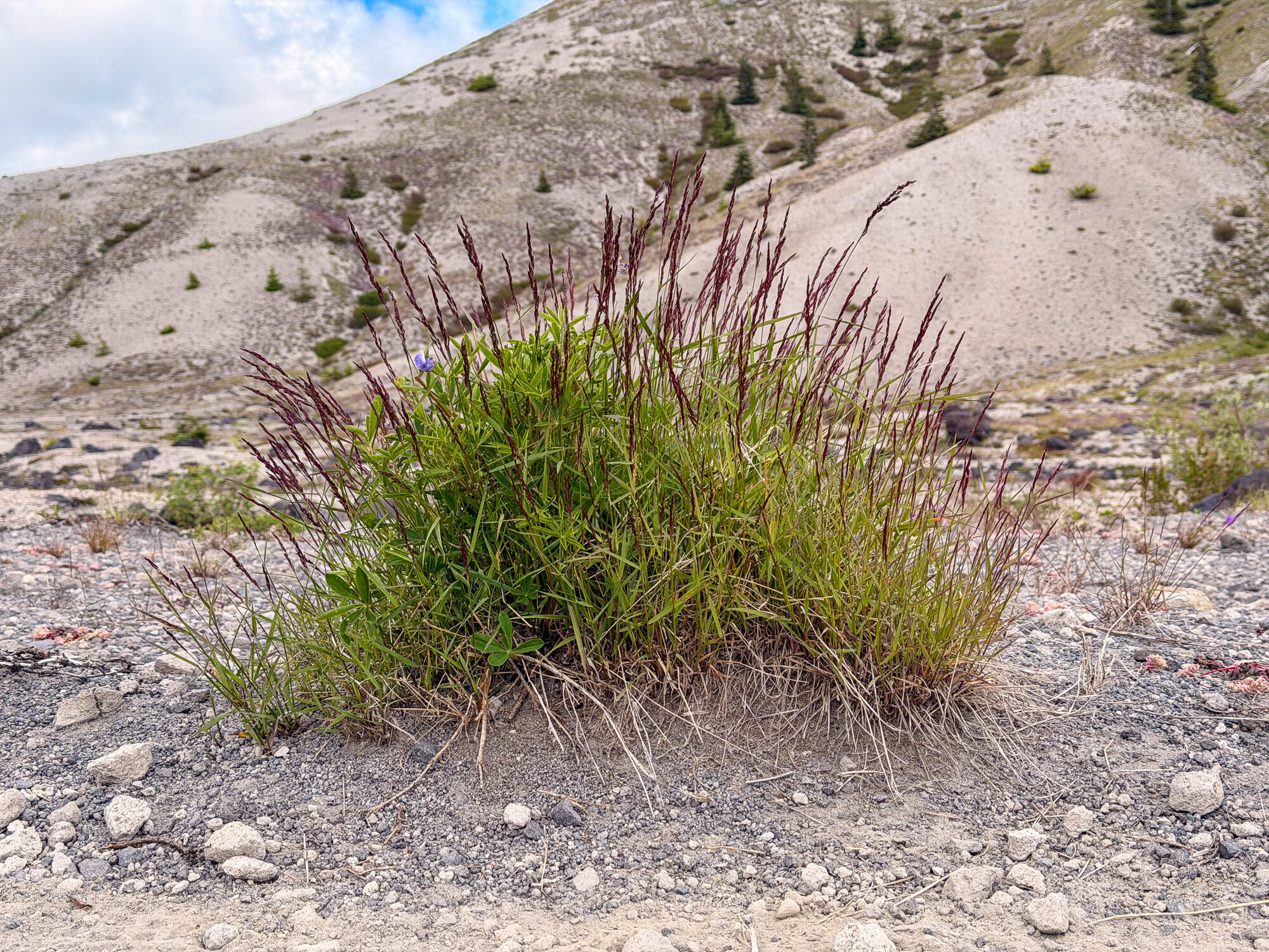 Loowit — Mount St. Helens ride, photo 25