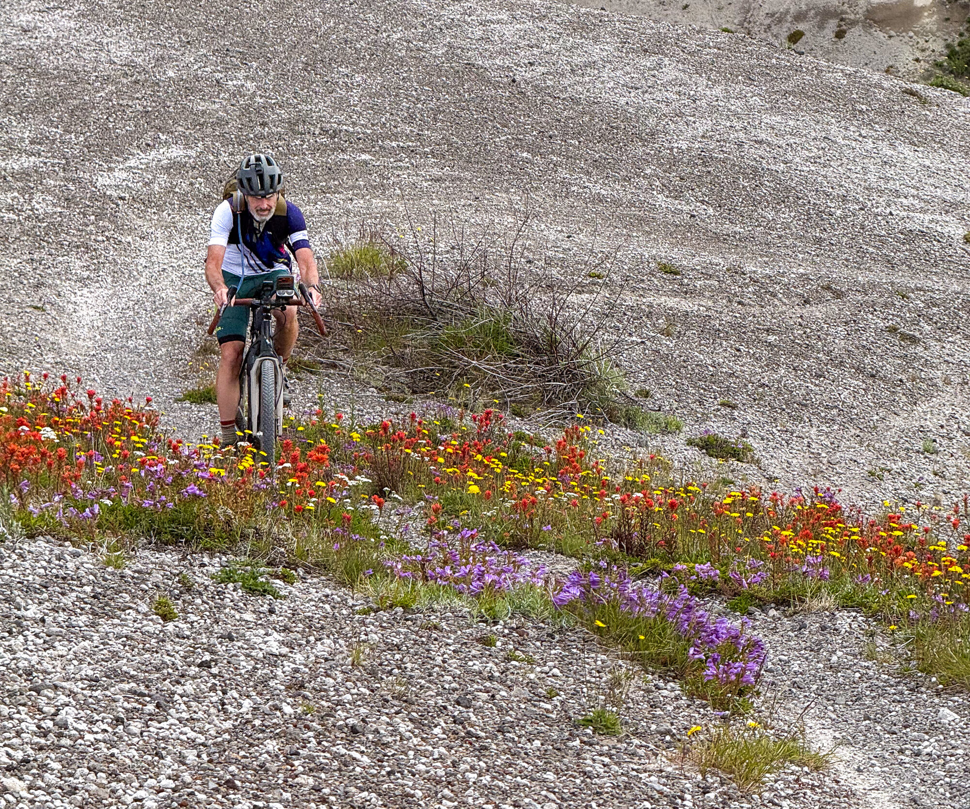 Loowit — Mount St. Helens ride, photo 32